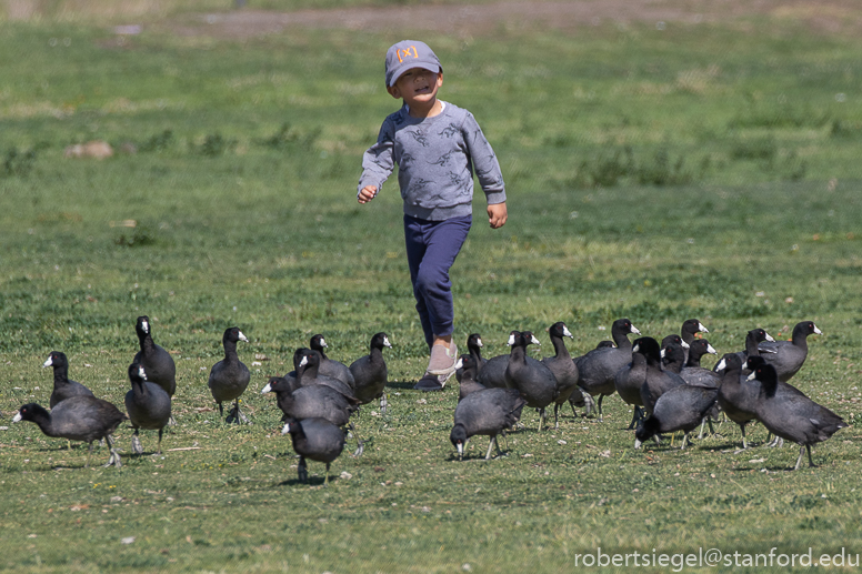 shoreline park